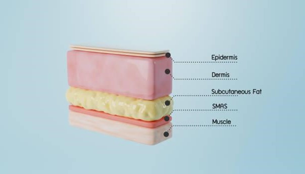 layers of skin how acne develops