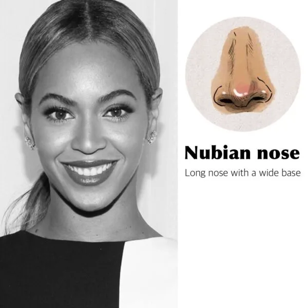 Types of noses- nubian nose