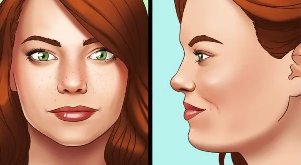 Types of noses- Snub Nose