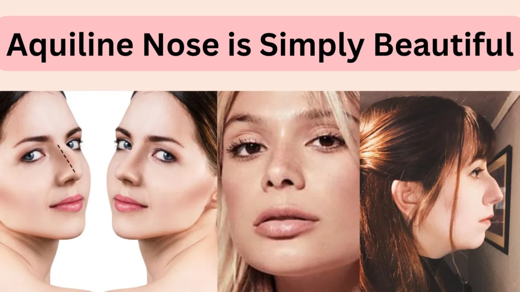 Types of Noses in US, UK